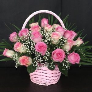 Popular pink roses 20