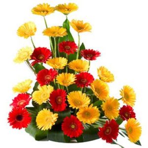 Gerbera 30 flowers in basket