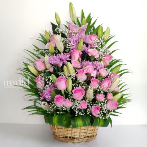 send pink flowers Dubai