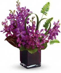 20 purple mokara orchids as royal gift