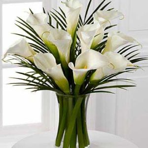 white calla lilies 10 stems