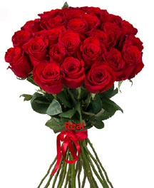 20 red roses long stem Valentine day