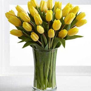 30 yellow Tulips delivery Dubai