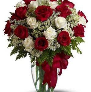 amazing 25 blooms of red white roses