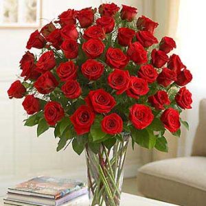 36 red roses blazing blooms