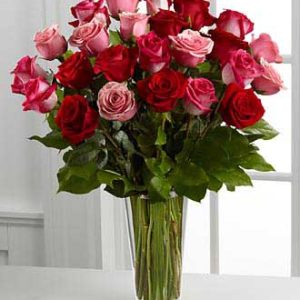 25 red pink roses speaks the language of love