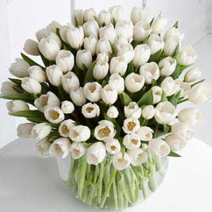 50 white tulips delivery Dubai