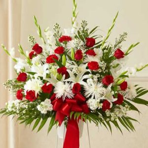red white flowers stand 4 feet
