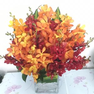 Red orange orchids in Dubai