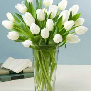 20 white tulips in vase to deliver in Dubai