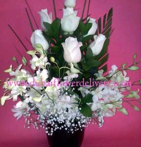 white roses orchids flowers Dubai 16