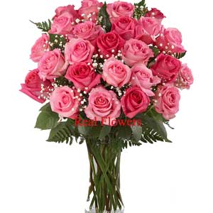 dark light pink roses 24 in a glass vase