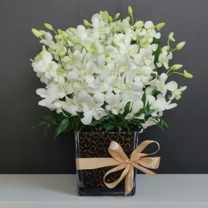 20 white orchids vase
