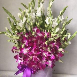 Purple Orchid Flowers pot
