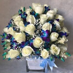 blue white flowers