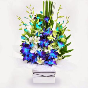 white blue flowers