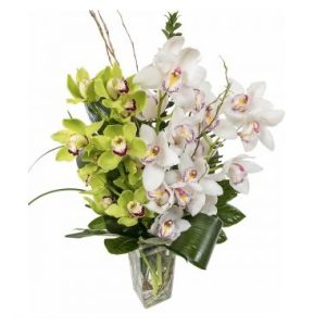 close relation -green white cymbidium vase