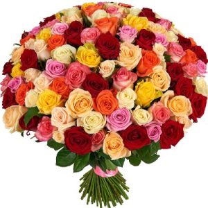 101 mix color roses