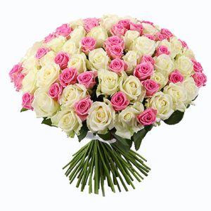 101 pink and white roses bouquet