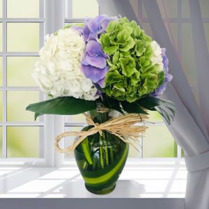 6 hydrangea flowers in vase