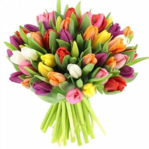 50 mix tulips in vase for delivery in Dubai