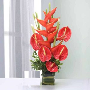 anthurium heliconia gift in Dubai