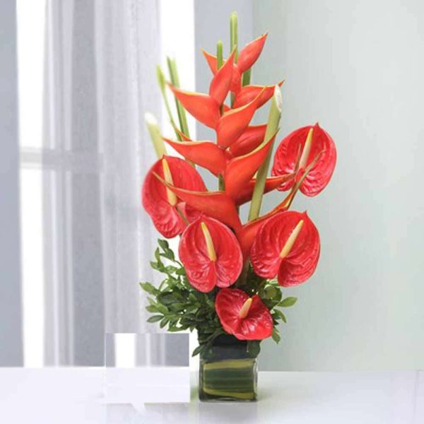 anthurium heliconia gift in Dubai