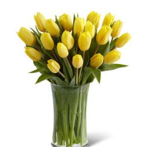 20 yellow tulips vase delivery Dubai