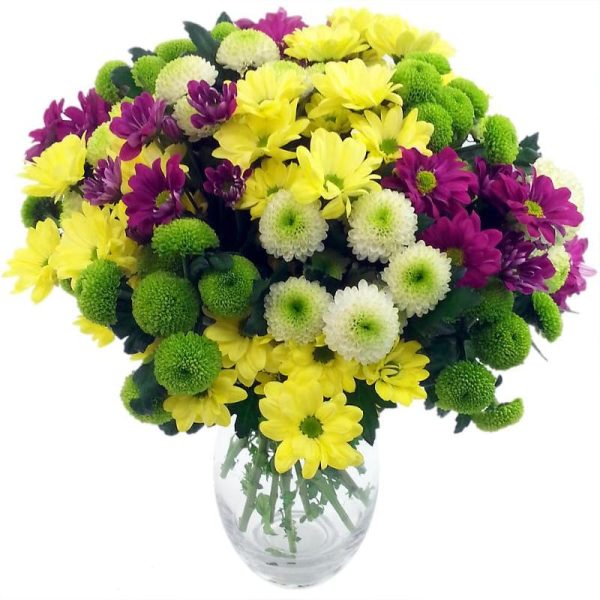 mix chrysanthemum