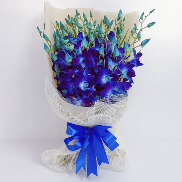 bouquet of blue orchids