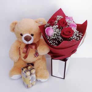 red pink roses teddy ferrero