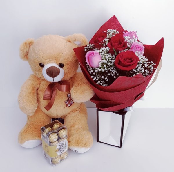 red pink roses teddy ferrero