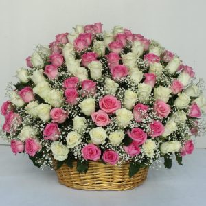 Order 100 Pink White Roses Basket